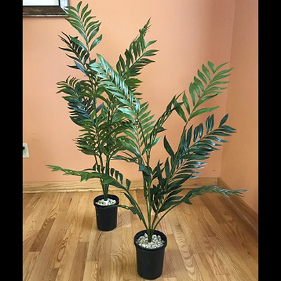 Parlour Palm Pair 3' & 4' - Artificial Trees & Floor Plants - Prom tropical tree rental